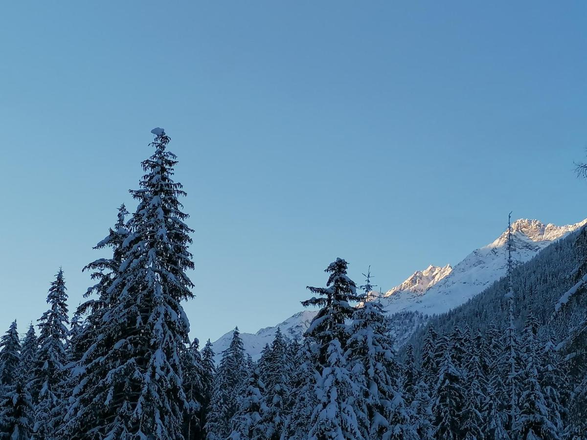 Mooshof * Kaunertal